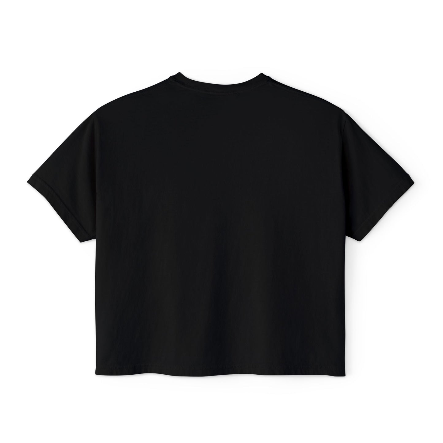 The Vampire Lestat Here Come the Gays Pride Boxy Tee Rainbow
