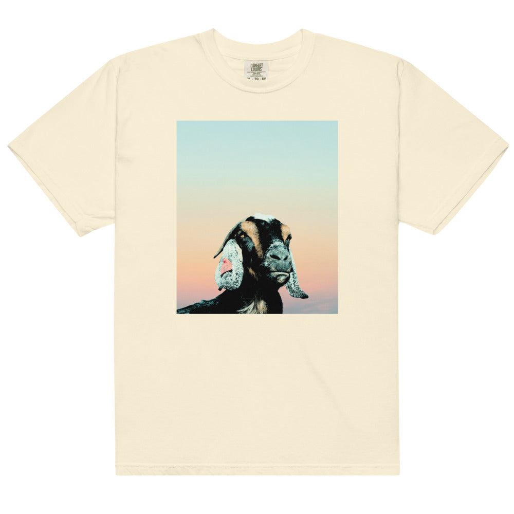Shudder When Evil Lurks Comfort Colors T-Shirt