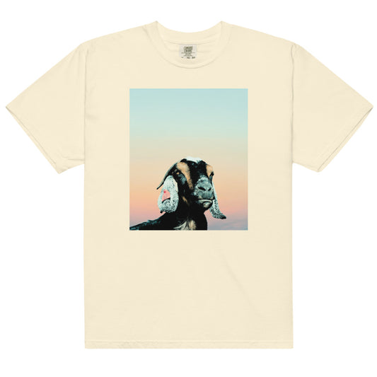 Shudder When Evil Lurks Comfort Colors T-Shirt