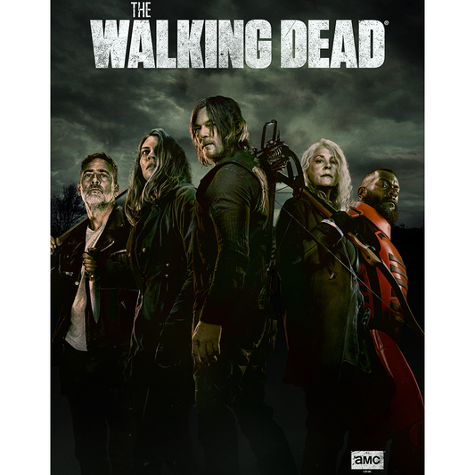 The Walking Dead Season 11A Key Art Sherpa Blanket