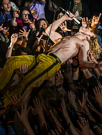 <p><strong>Why The Long Face?</strong></p>