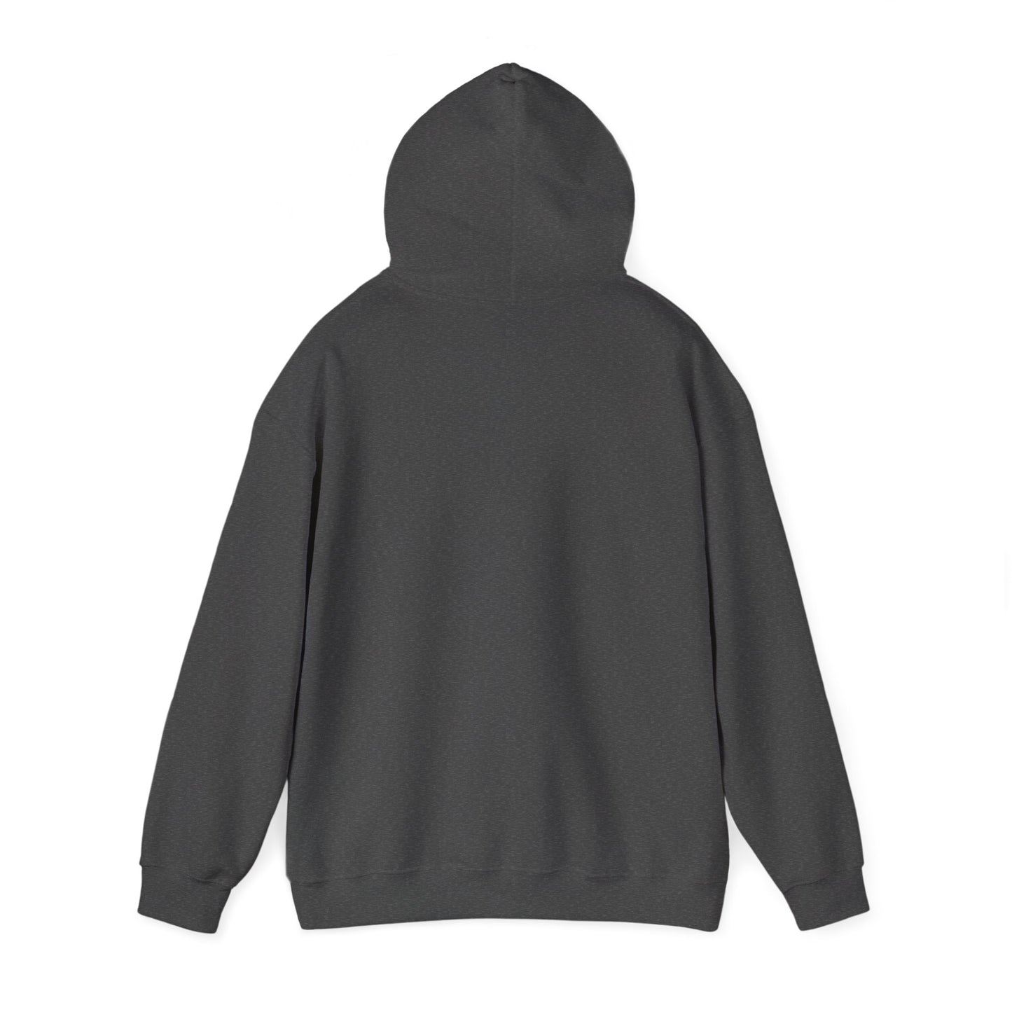 Interview With The Vampire Armand Told the Truth Hoodie