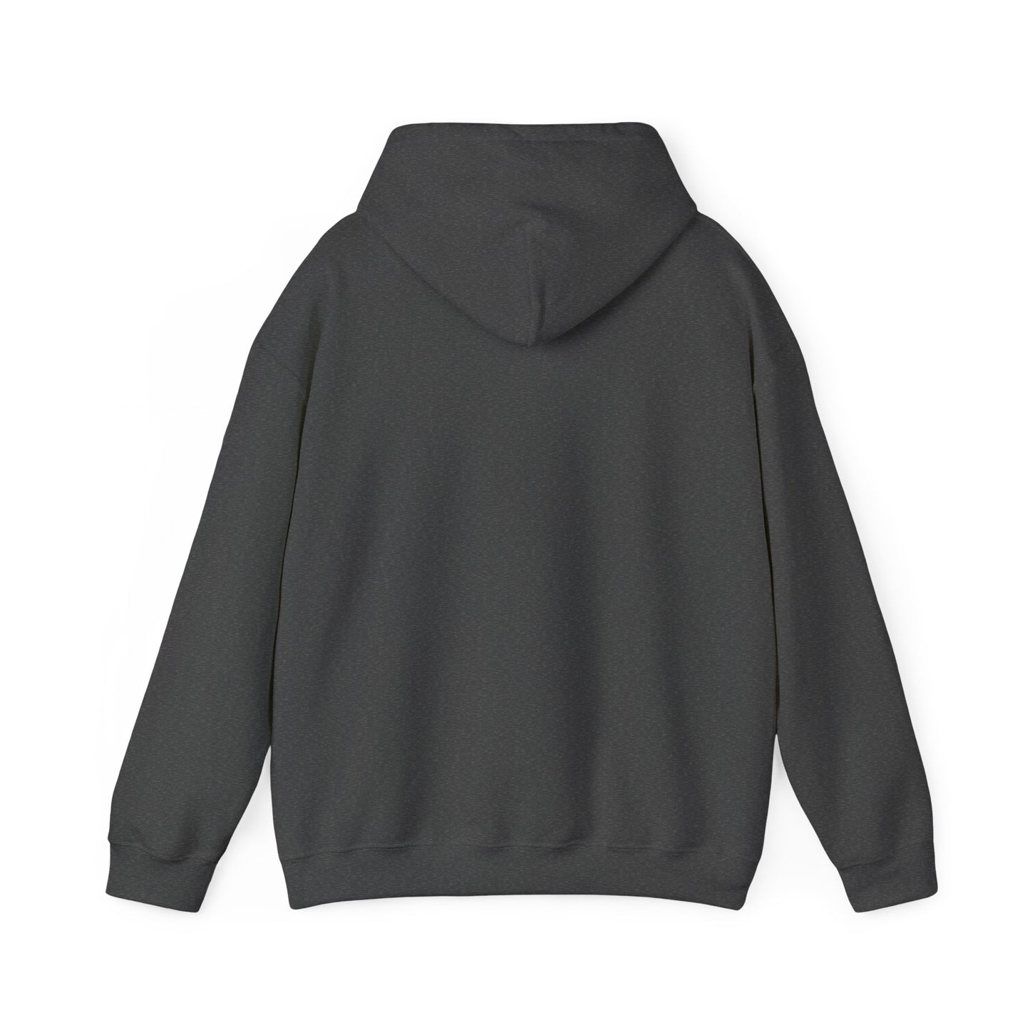 Interview With The Vampire Armand Told the Truth Hoodie