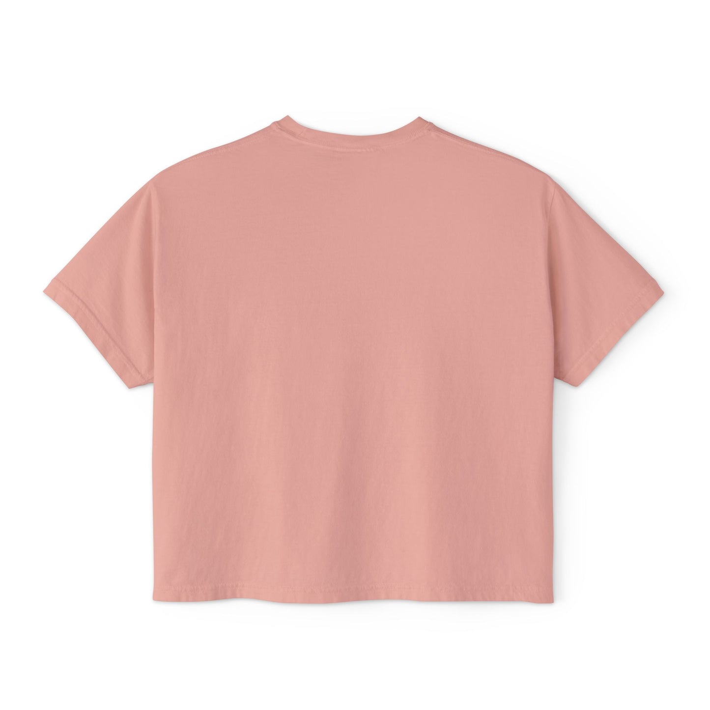 The Vampire Lestat Here Come the Gays Pride Boxy Tee Rainbow