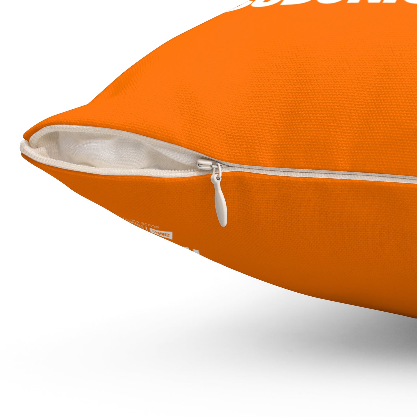 The Audacity Tech Changed World Decorative Pillow