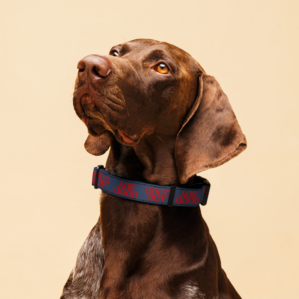 Good Boy Logo Pet Collar