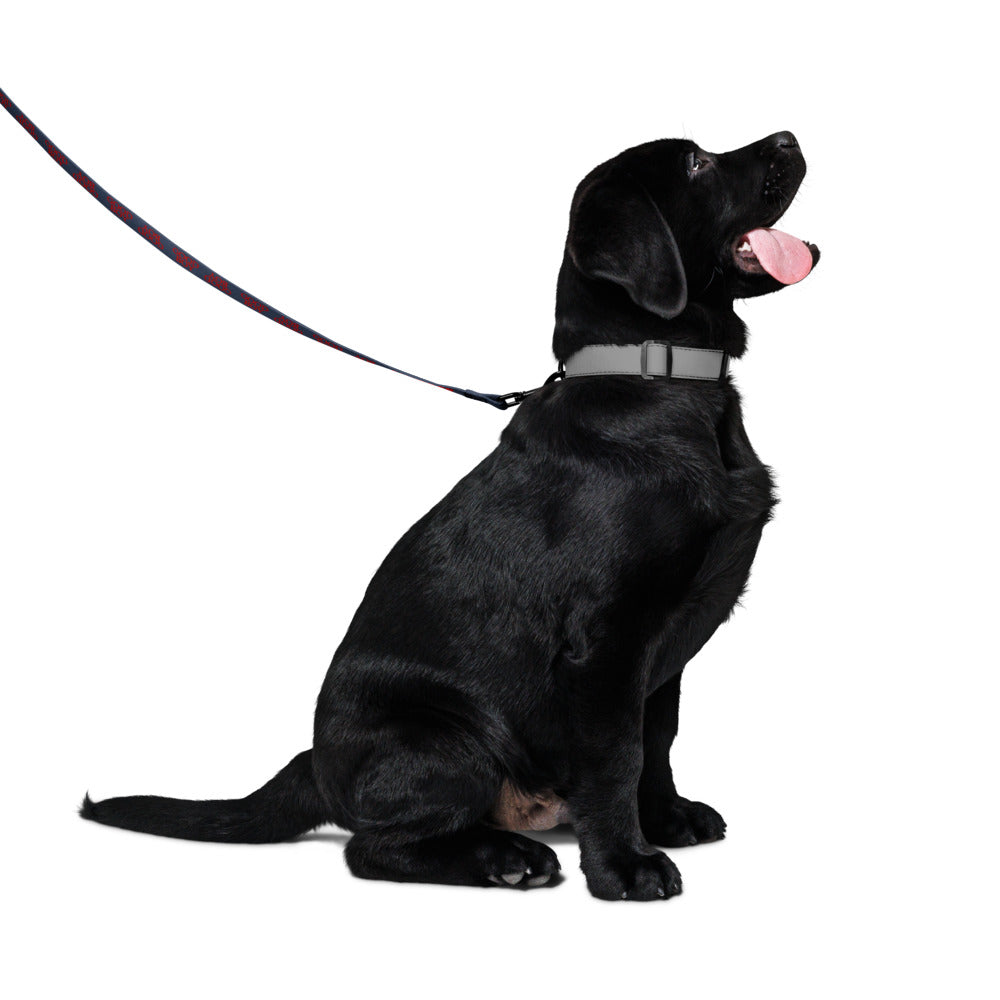 Good Boy Logo Pet Collar