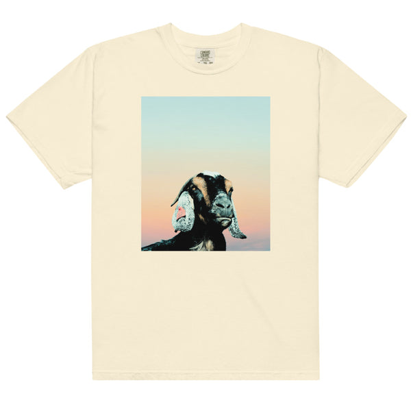 Shudder When Evil Lurks Comfort Colors T-Shirt