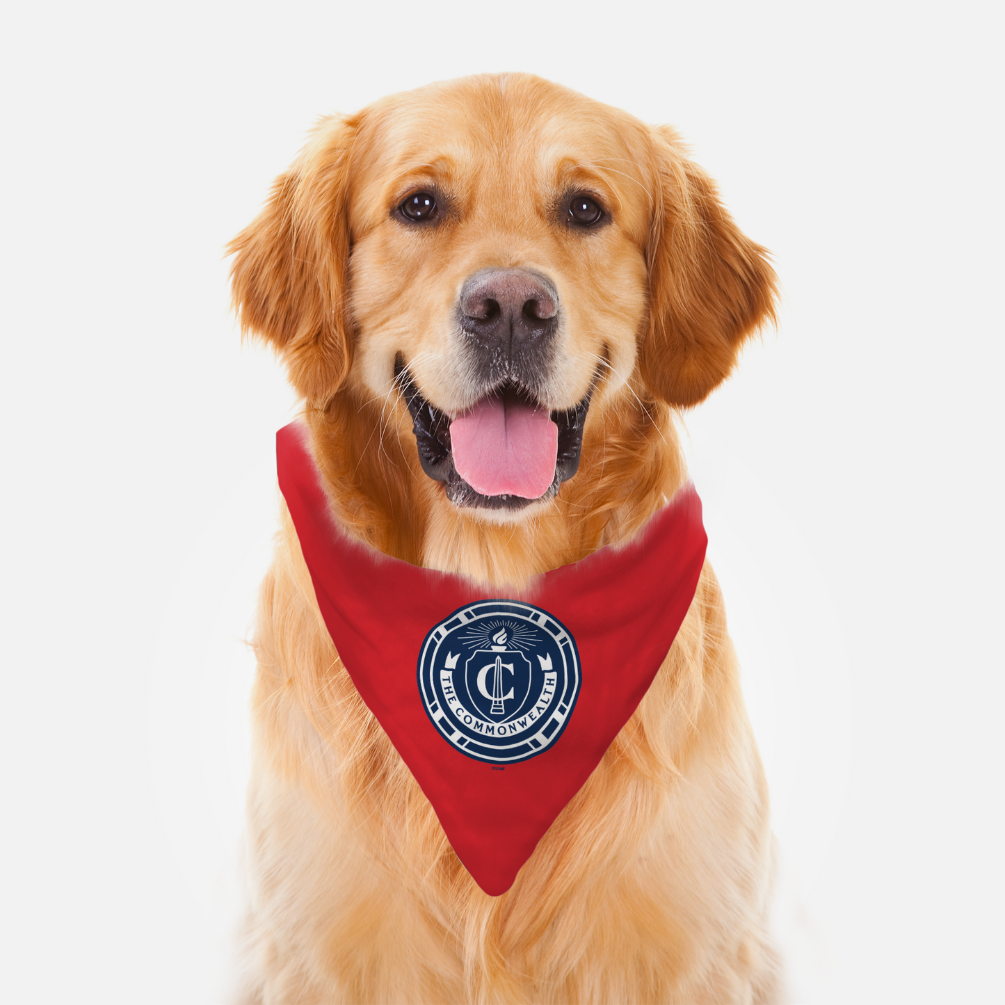 The Walking Dead Commonwealth Seal Red Pet Bandana