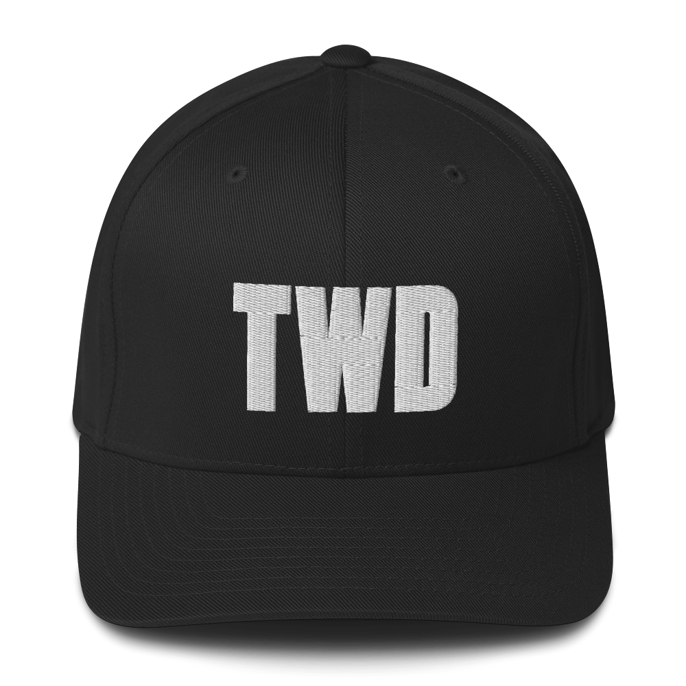 The Walking Dead Logo Embroidered Hat
