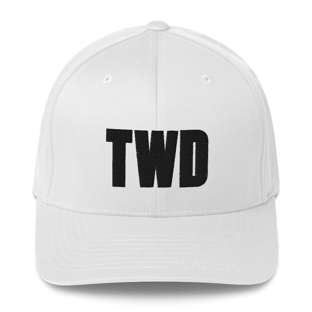 The Walking Dead Logo Embroidered Hat